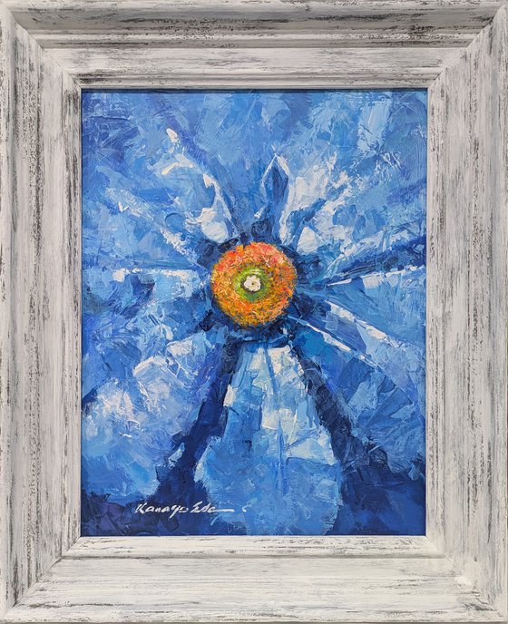 Blue Star Flower