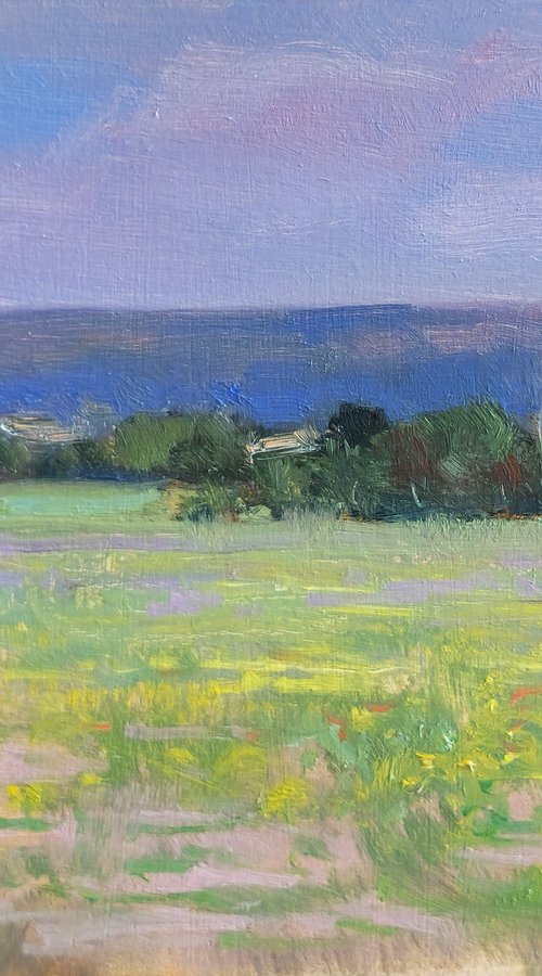 Meadow in the Luberon by Pascal Giroud