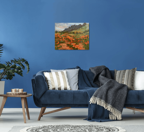 Desert in Spring