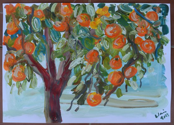 Naranjo (Orange tree)