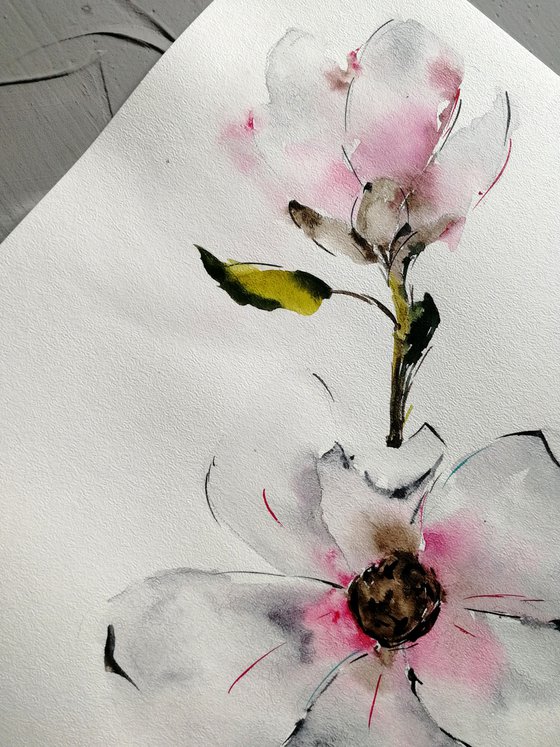 Magnolia painting. Blossoms painting