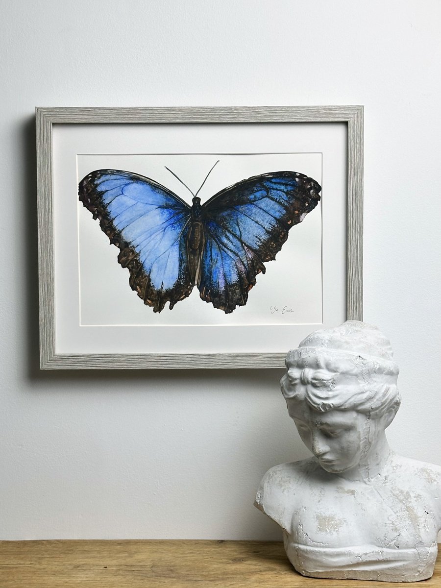 Photorealistic Animal Watercolour By Irsa Ervin, 15 X 12, Blue Morpho Butterfly, Original Artwork