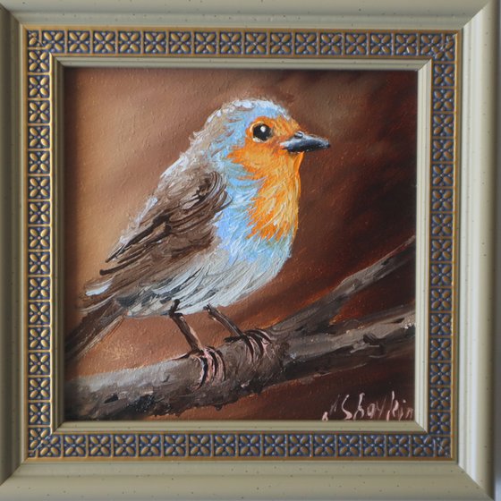 Robin