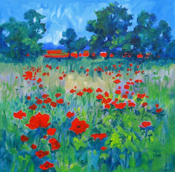 Poppy Meadow