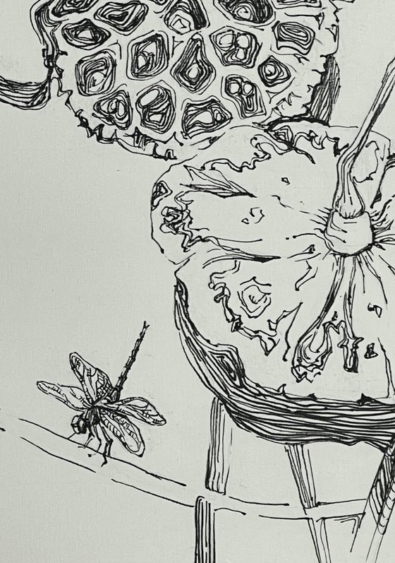 Lotus pods.Dragonfly