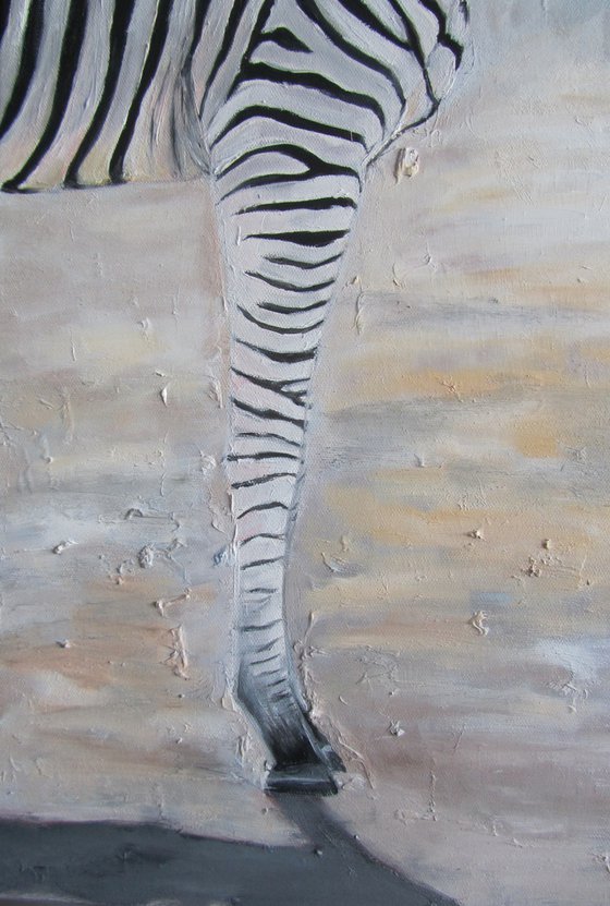 White-to-Black Zebras