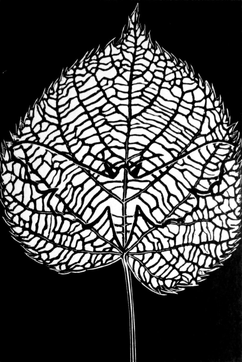 Animal Etchings & Engravings By Rebecca Coleman, 9 X 11", Extinguished: Forever, Original Artwork