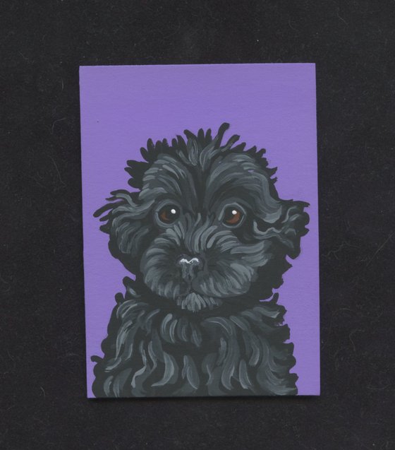 ACEO ATC Original Miniature Painting Black Pet Poodle Dog Pup Art-Carla Smale