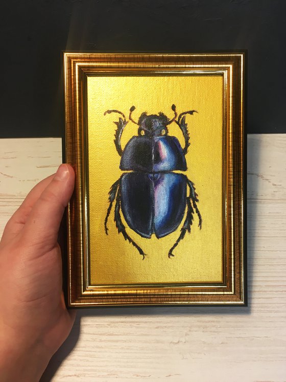 TRYPOCOPRIS VERNALIS - Golden collection of beetles