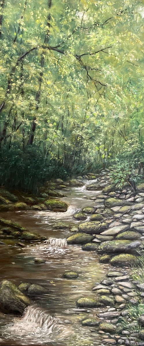 MOUNTAIN STREAM OLD FORT NC by Kathleen McDermott