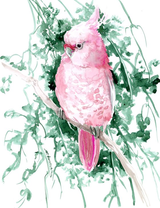 Pink Cockatoo