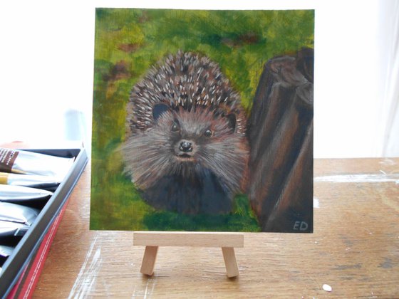 Hedgehog in Oil