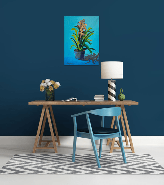 Bromeliad Plant