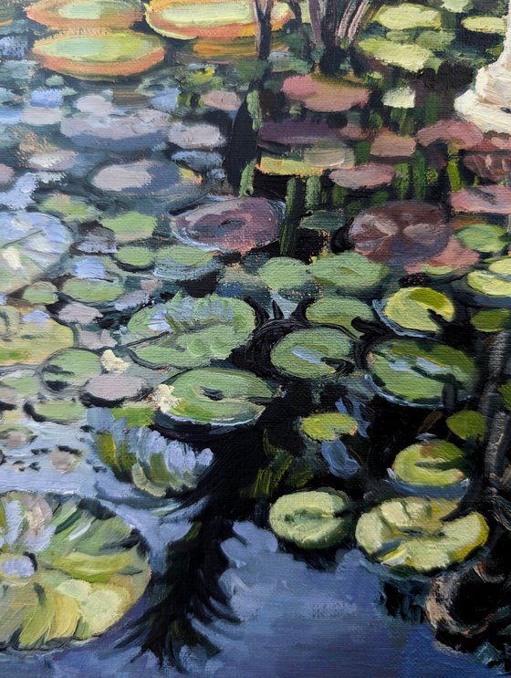 Light On The Lily Pond