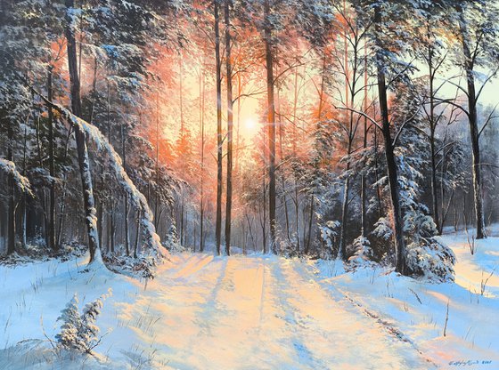 Dawn in the Winter Forest