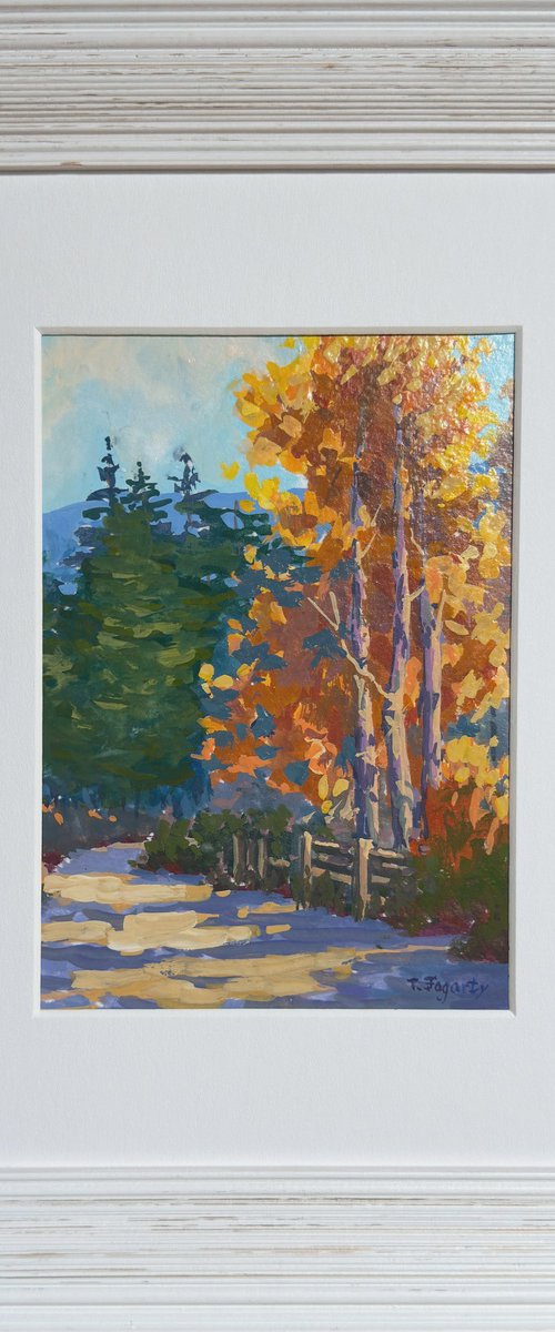 October Aspens In Hope Valley by Tatyana Fogarty