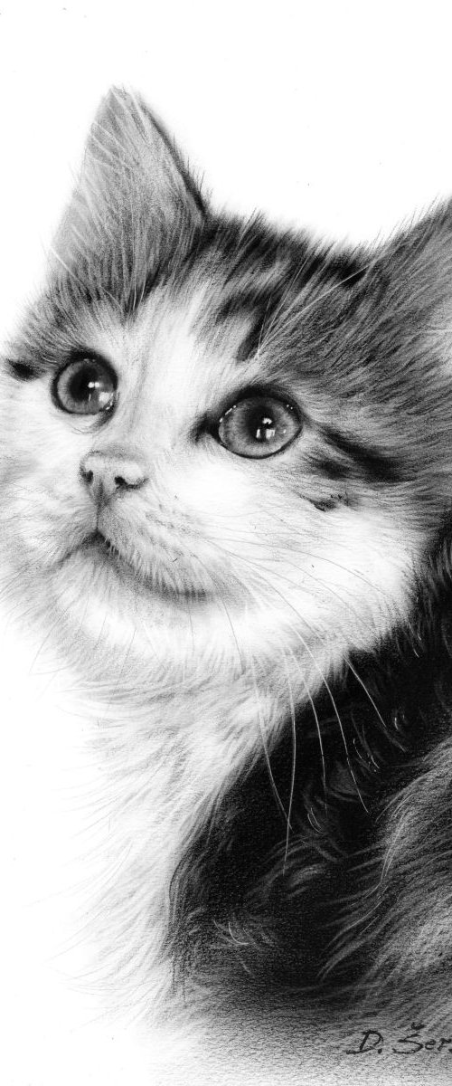 Kitty Ponder by Danguole Serstinskaja