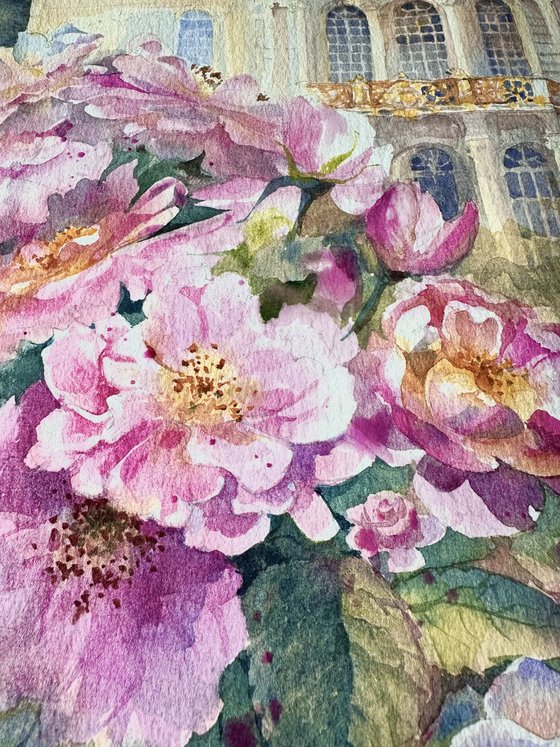 Pink Roses Blooming in a Fairytale Palace