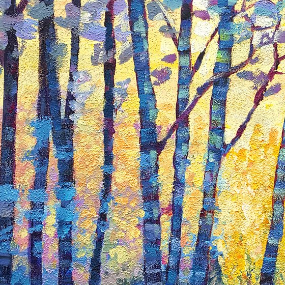 Sunbeams in the forest