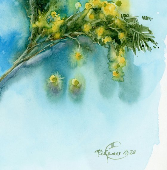 A sprig of mimosa. Still life. Spring.