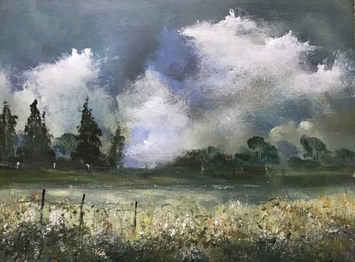 In Cornish Fields by Maxine Anne  Martin