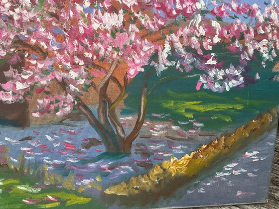 Blooming magnolia in Dalen
