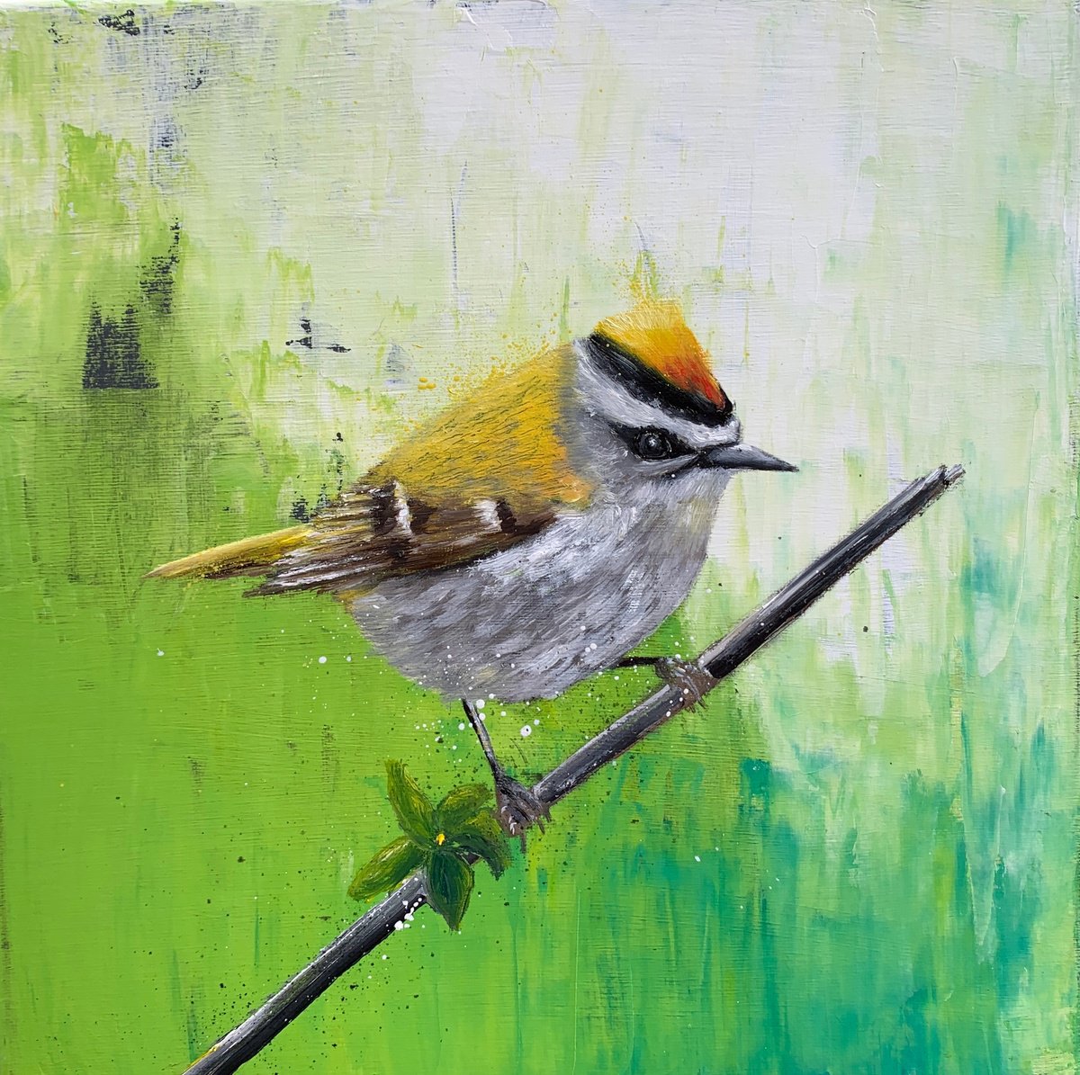 Impressionistic Animal Painting By Laure Bury, 12 X 12", Fire Crest, Original Artwork