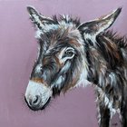 Donkey