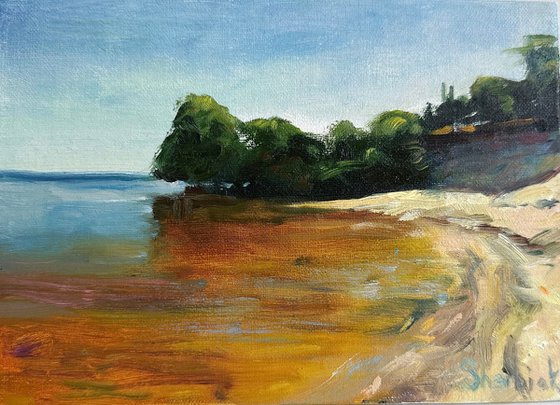 River bank