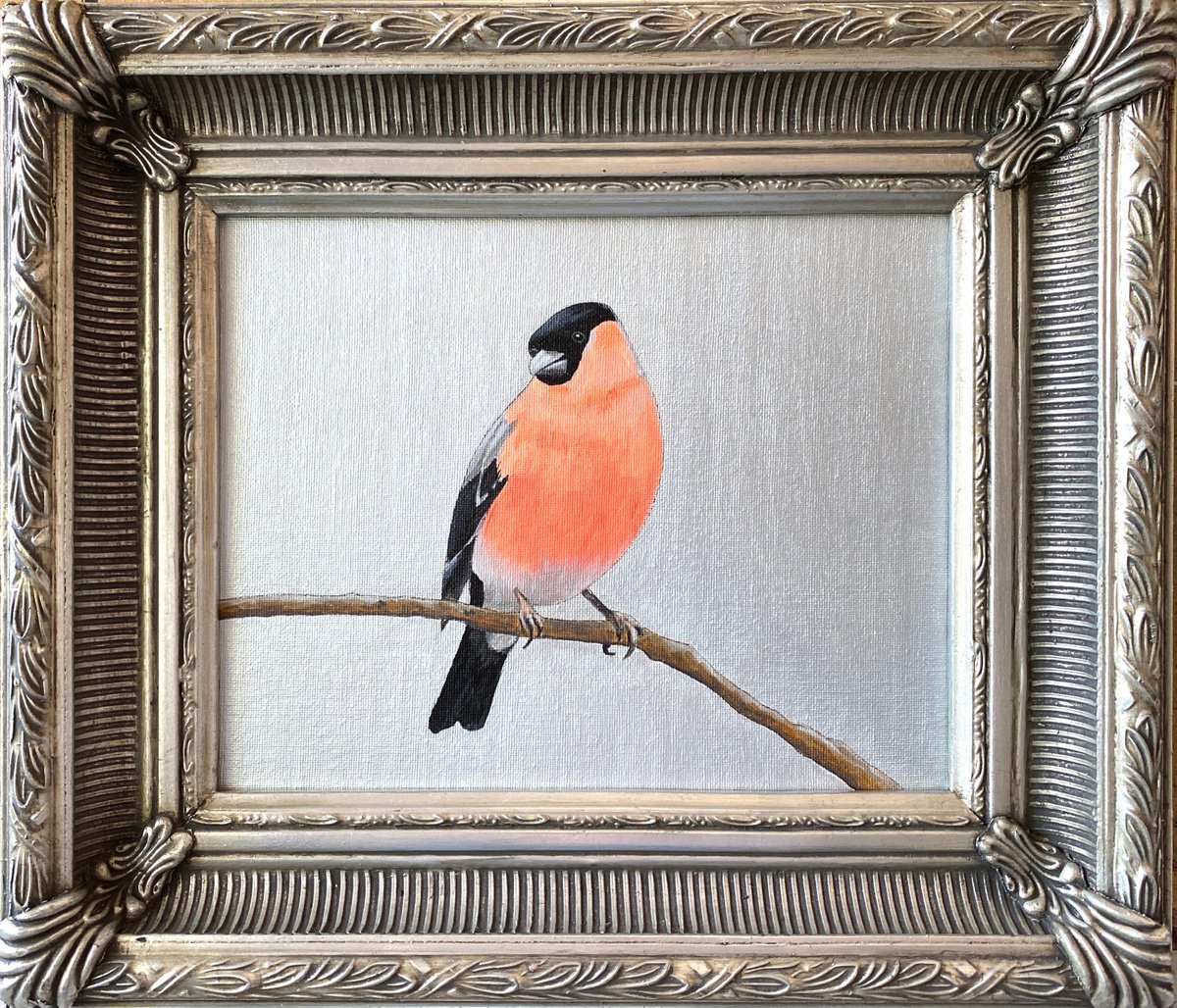Photorealistic Animal Acrylic Painting By Kaz Jones, 15 X 13", Mister Bullfinch, Original Artwork