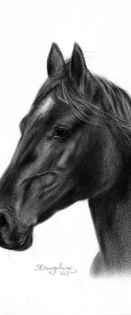 Oil painting ,, Black horse,, by Deimante Bruzguliene