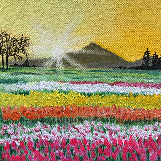 Sunrise at tulip fields ! Small Painting!!  Ready to hang