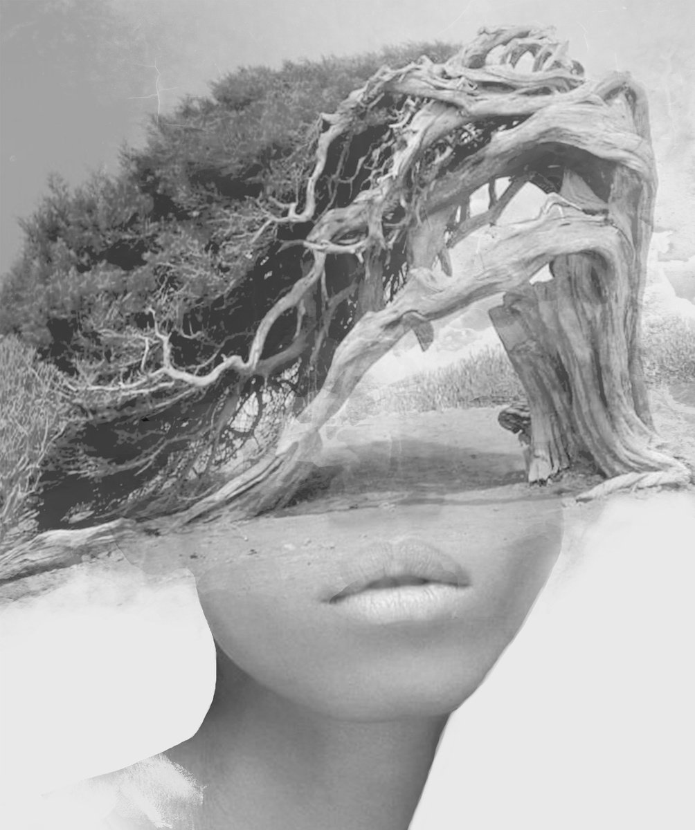 Illustrative Portrait Photograph By Srdjan Jevtic, 36 X 43", In My Mind, Original Artwork