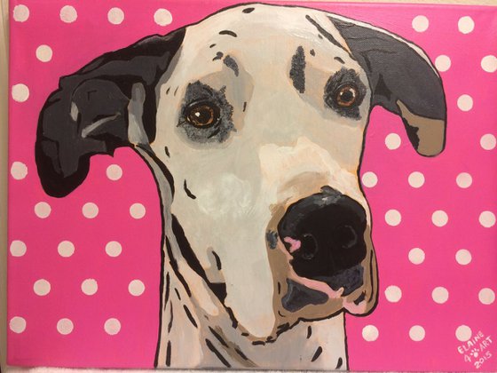 IN MEMORY OF COTTON THE GREAT DANE