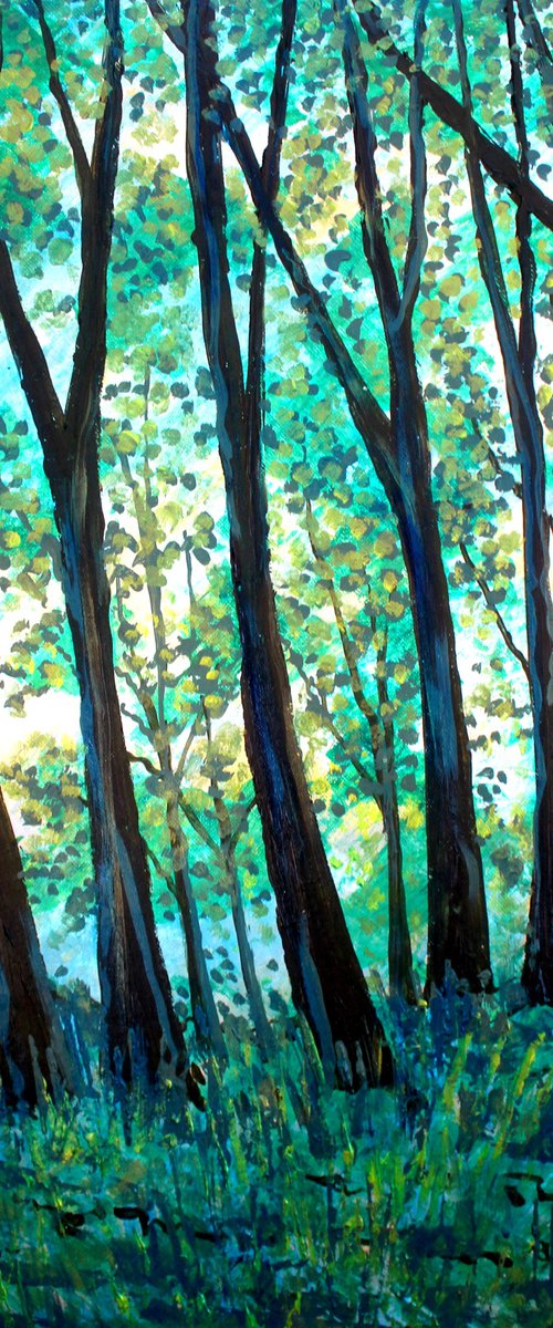 Spring Morning by Paul J Best