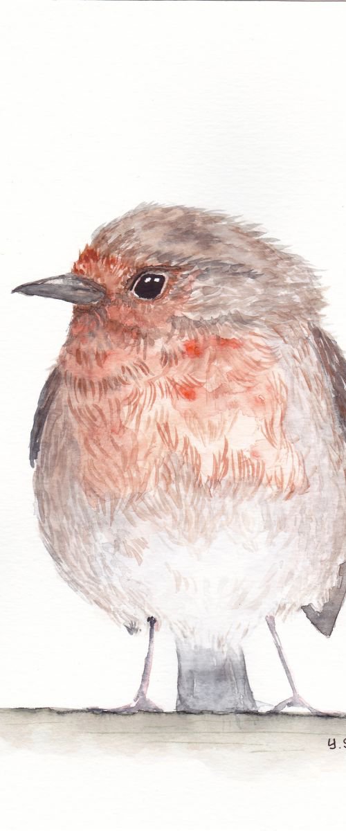 birds portrait by Yulia Schuster