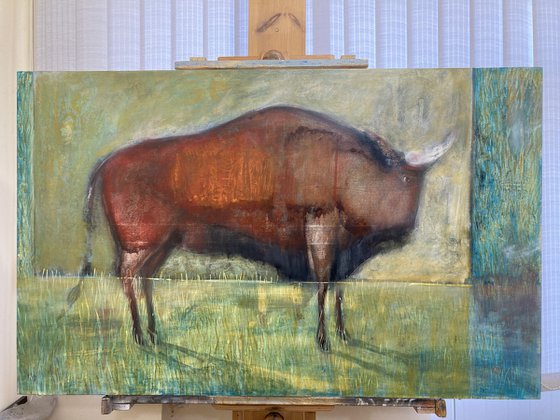 Bison
