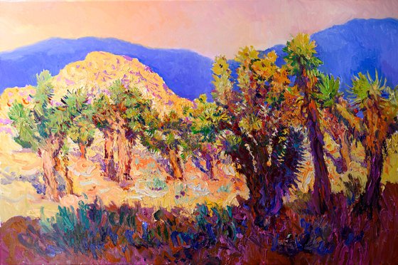 Evening in High Deserts, Joshua Trees