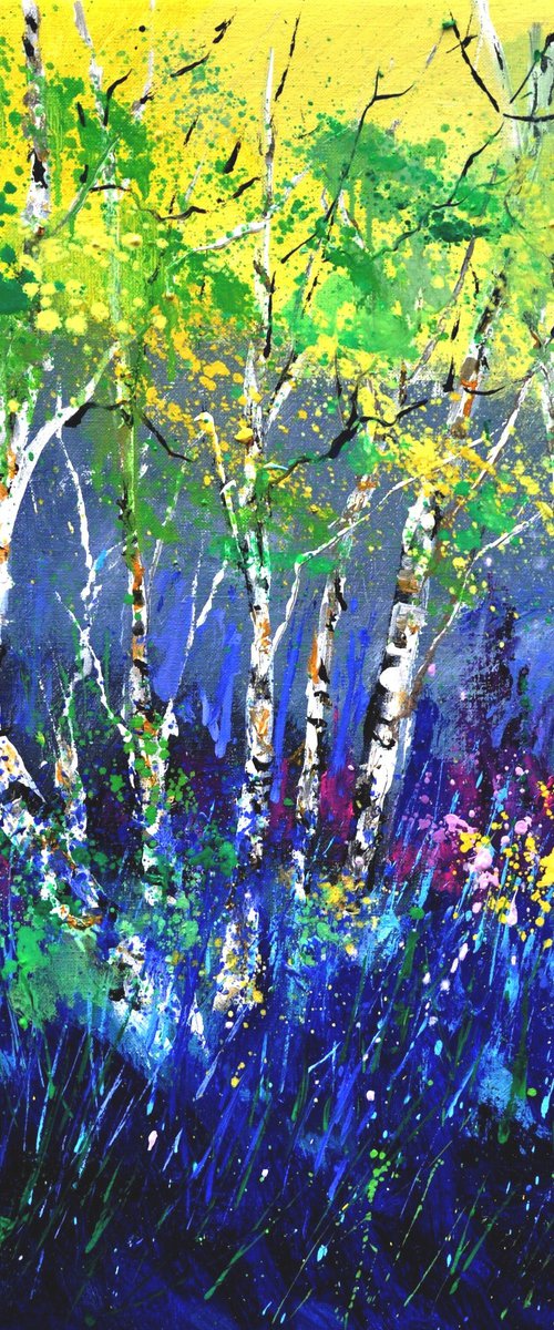 Aspentrees -5622 by Pol Henry Ledent