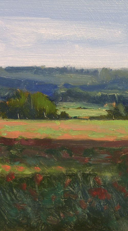 Poppies Field by Pascal Giroud