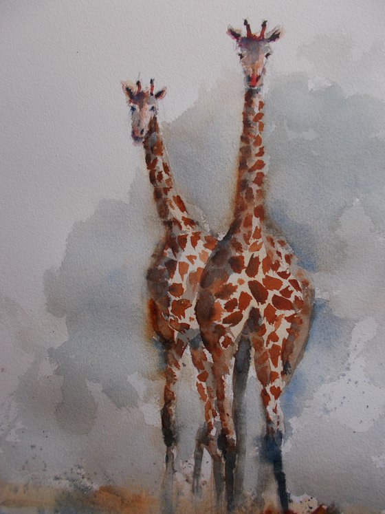 giraffes 2