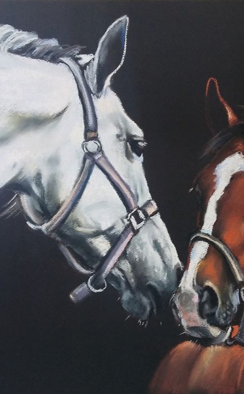 White and brown by Magdalena Palega