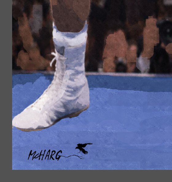 THE BOXER 2