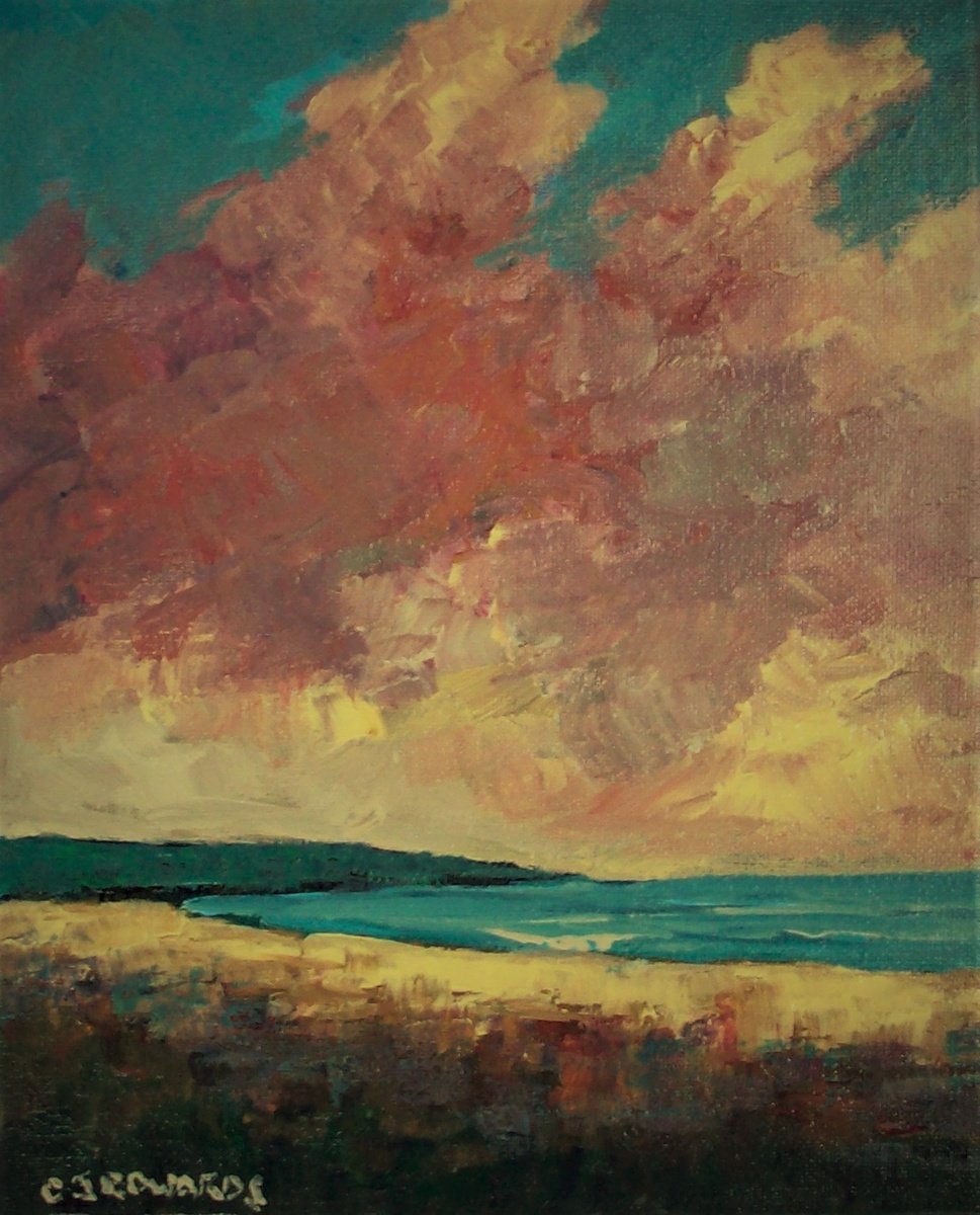 Boundary Bay, Afternoon by David J Edwards