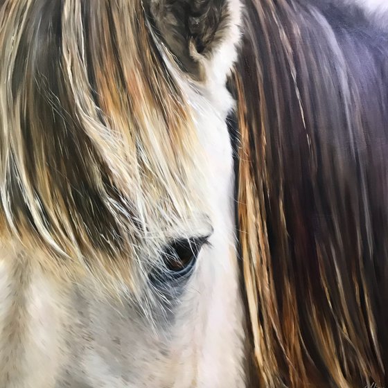 Square oil painting with horse face realism 80 * 80 cm