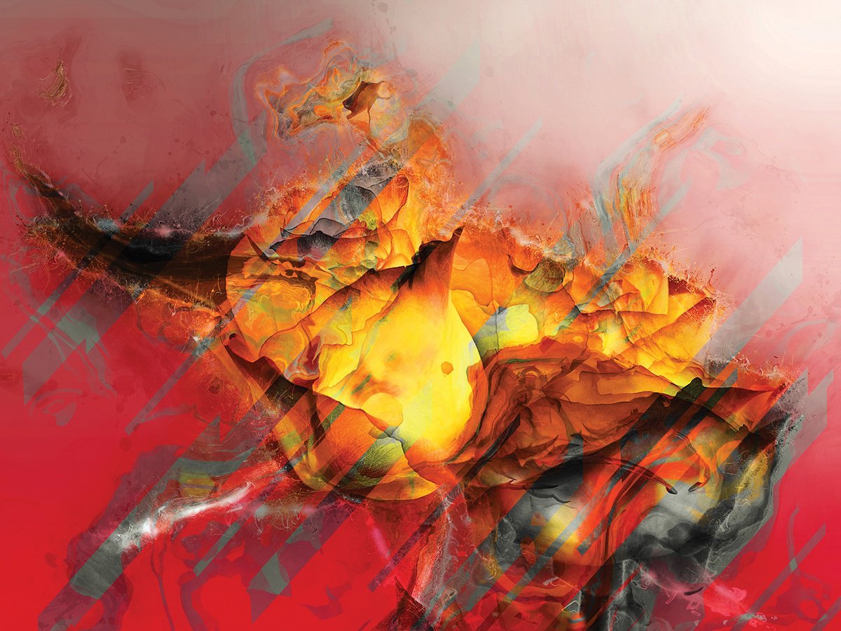 Abstract Botanical Print By Javier Diaz, 80 X 60, Delirios Xxvi, Original Artwork