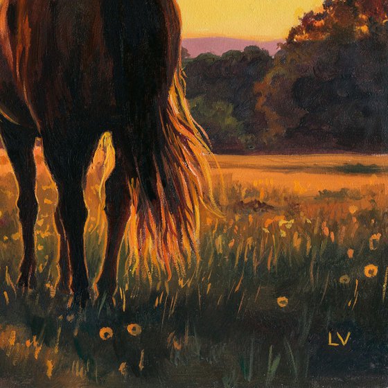 Woman walking with a horse in a sunset field