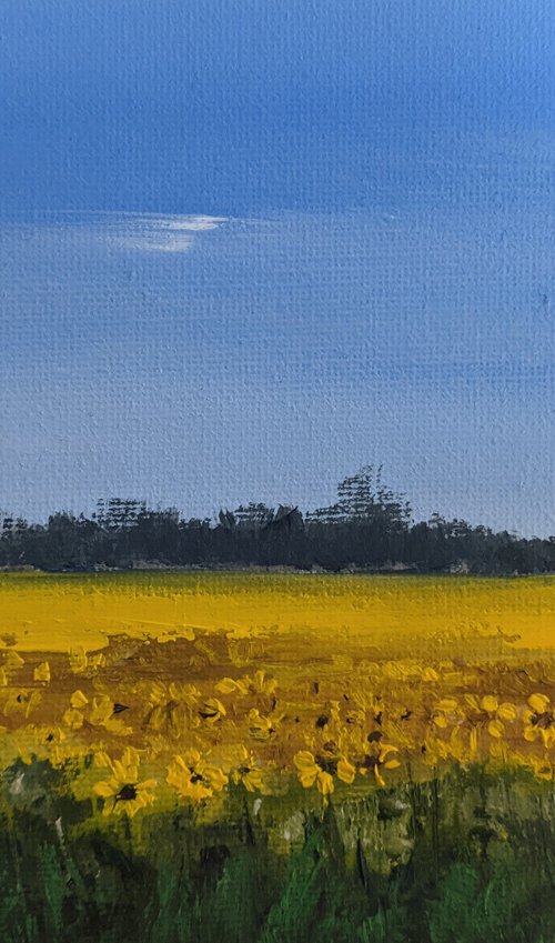 Miniature Sunflowers Landscape by Jo Earl