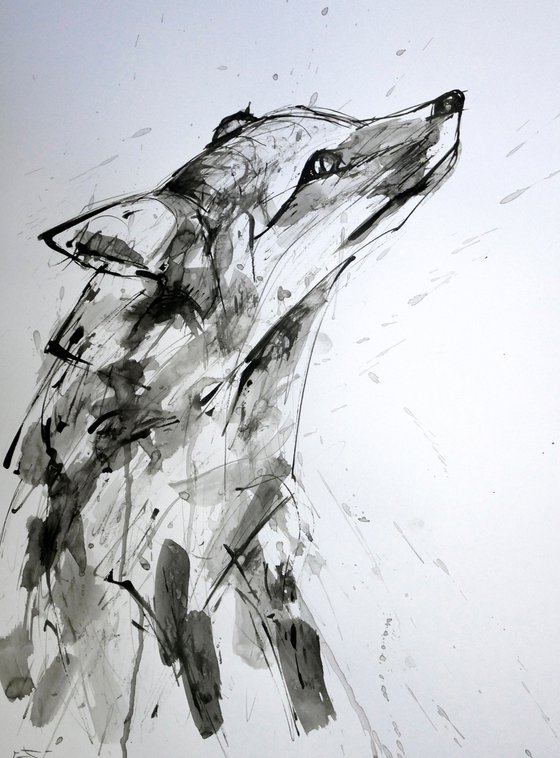 FOX, EXPRESSIVE INK drawing