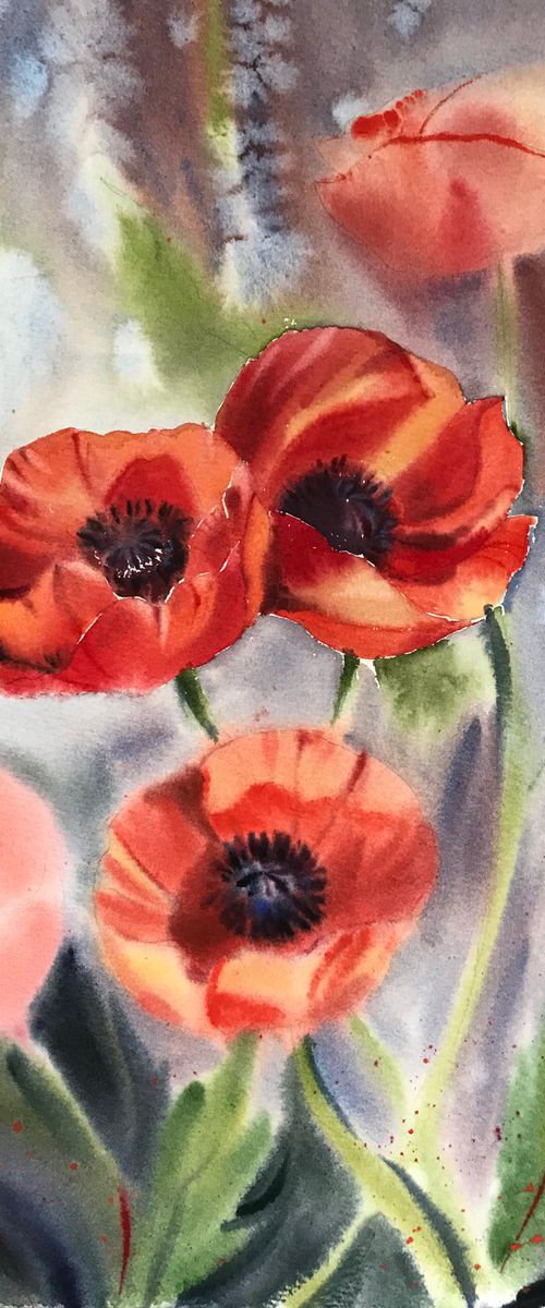 Growing Poppies by Eugenia Gorbacheva